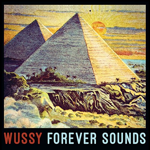 Forever Sounds von Shake It