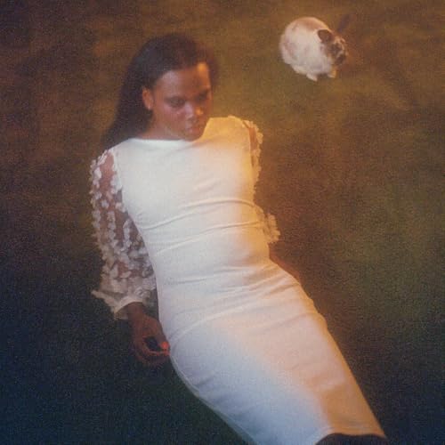 Ten [Vinyl LP] von Shamir