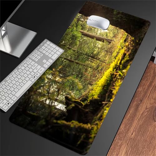 Gaming Mauspad Groß Mousepad 700x400x2mm Sonnenschein Dschungel Mauspad XXL mit Rutschfester Basis Waschbares Schreibtischunterlage für Zuhause, Büro, Gamer Gaming Mauspad Groß Mousepad 700x400x2mm Sonnenschein Dschungel Mauspad XXL mit Rutschfester Basis Waschbares Schreibtischunterlage für Zuhause, Büro, Gamer von ShangShengzi