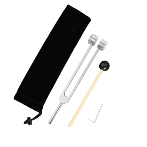 Sharplace Stimmgabel-Zupfwerkzeug, Hörhilfe-Werkzeug mit Hammer und Aufbewahrungstasche, Ohrenreinigungszubehör, Reparaturwerkzeug für Männer und Frauen zu, 24.5 cm, silber von Sharplace