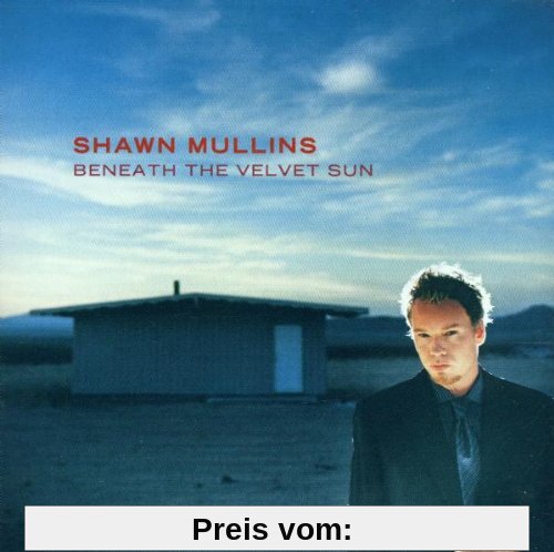 Beneath the Velvet Sun von Shawn Mullins
