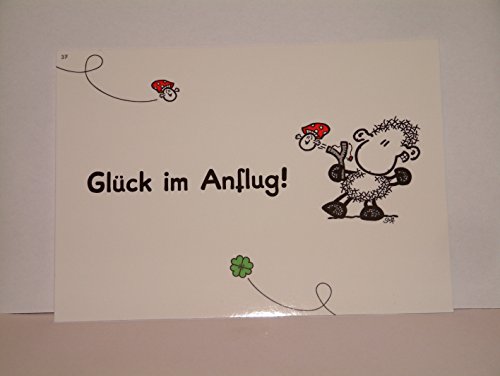 sheepworld Postkarte "Glück im Anflug!"37 von Sheepworld