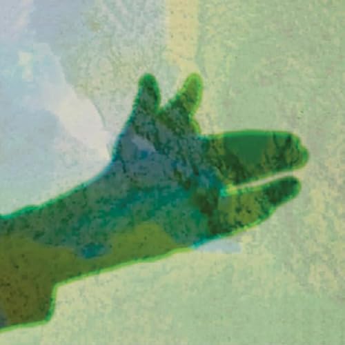 Camo [Vinyl LP] von Shelter Press