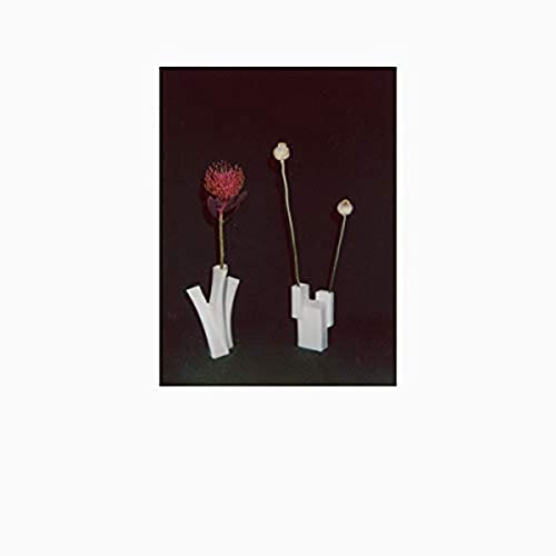 Flower & Vessel [Vinyl LP] von Shelter Press