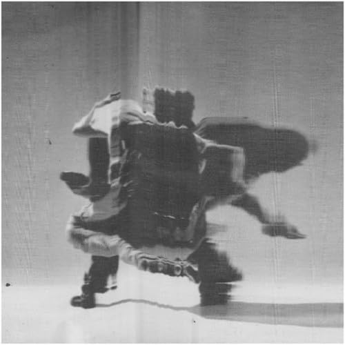 Movement Building Vol. 2 [Vinyl LP] von Shelter Press