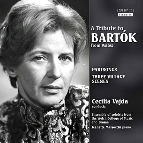 A Tribute to Bartok from Wales von Sheva Collection