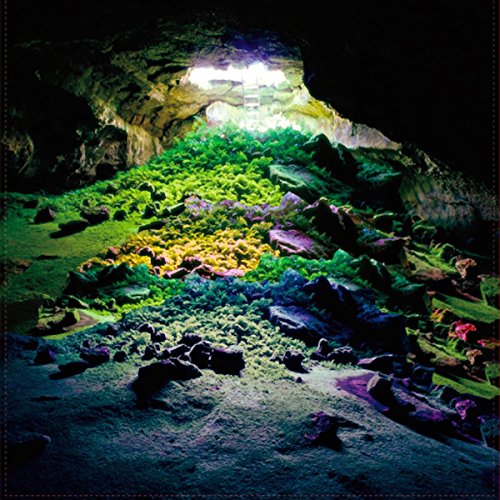 An Introduction to...(Ep) (Ltd Green Vinyl) [Vinyl Maxi-Single] von Shifting Sounds / Cargo