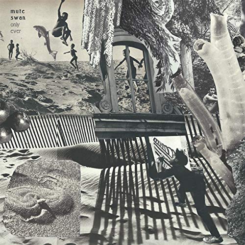 Only Ever [Vinyl LP] von Shifting Sounds / Cargo