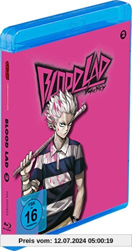 Blood Lad - Vol. 2 [Blu-ray] von Shigeyuki Miya