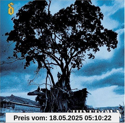 Leave a Whisper [Enhanced] von Shinedown