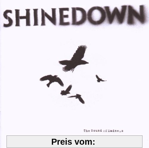 The Sound of Madness von Shinedown