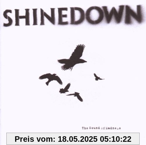 The Sound of Madness von Shinedown