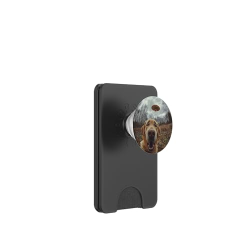 Lustiges Labrador-Hunde-Selfie mit intergalaktischem UFO PopSockets PopWallet für MagSafe Lustiges Labrador-Hunde-Selfie mit intergalaktischem UFO PopSockets PopWallet für MagSafe von Shocked looking Labrador Dog and UFO Selfie