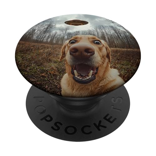Schockiert aussehendes Labrador-Hunde-Selfie mit intergalaktischem UFO PopSockets Klebender PopGrip Schockiert aussehendes Labrador-Hunde-Selfie mit intergalaktischem UFO PopSockets Klebender PopGrip von Shocked looking Labrador Dog and UFO Selfie