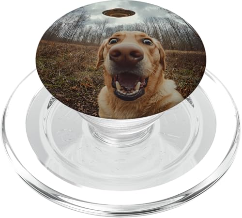 Schockiert aussehendes Labrador-Hunde-Selfie mit intergalaktischem UFO PopSockets PopGrip für MagSafe Schockiert aussehendes Labrador-Hunde-Selfie mit intergalaktischem UFO PopSockets PopGrip für MagSafe von Shocked looking Labrador Dog and UFO Selfie