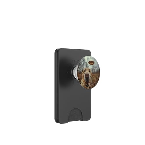 Schockiert aussehendes Labrador-Hunde-Selfie mit intergalaktischem UFO PopSockets PopWallet für MagSafe Schockiert aussehendes Labrador-Hunde-Selfie mit intergalaktischem UFO PopSockets PopWallet für MagSafe von Shocked looking Labrador Dog and UFO Selfie