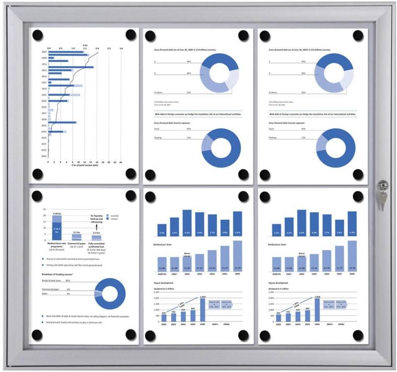 Showdown® Displays S Schaukasten 6x DIN A4 keine-Fach alusilber von Showdown® Displays