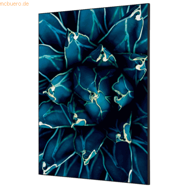 Showdown Wanddekoration Set A1 Kaktus blau von Showdown