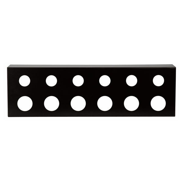 Showgear 19" Frontplatte für 6 x PG16 & 6 x PG21, schwarz Showgear 19" Frontplatte für 6 x PG16 & 6 x PG21, schwarz von Showgear