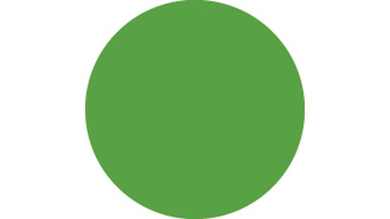 Showgear Colour Sheet 122 x 53 cm von Showgear