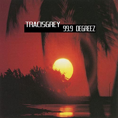 99.9 Degreez [Vinyl LP] von Sic Records