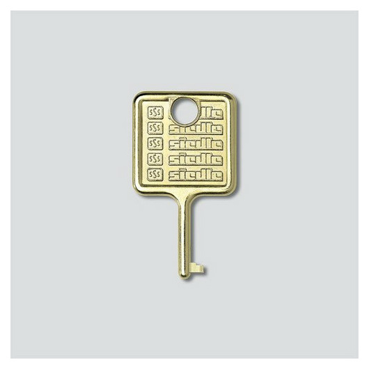 Siedle 210007018-00 Schlüssel für Informations- von Siedle