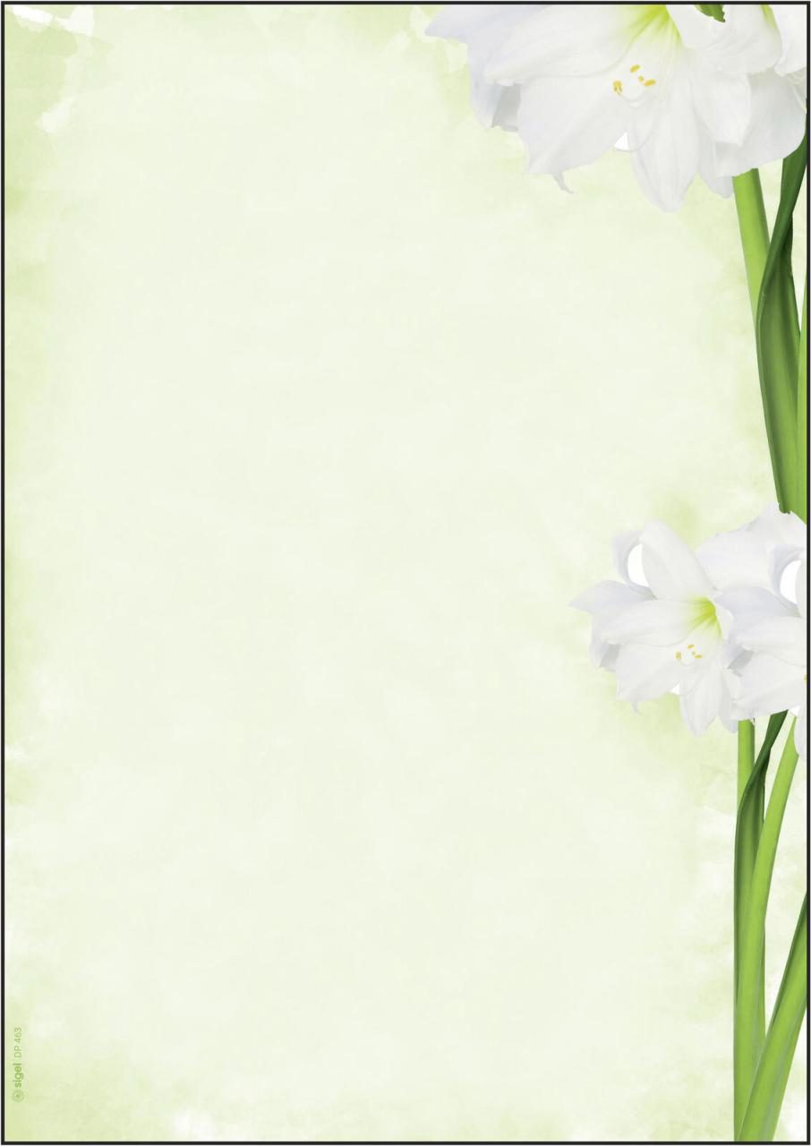 SIGEL Briefpapier Motiv-Papier Green Flower DIN A4 90 g/m² von Sigel