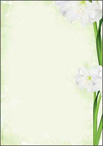 SIGEL DP463 Motiv-Papier "Green Flower", Briefpapier 90 g DIN A4, 25 Blatt, aus nachhaltigem Papier von Sigel