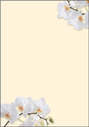 SIGEL DP904 Motiv-Papier "White Orchid", Briefpapier 90 g, DIN A4, 50 Blatt, aus nachhaltigem Papier von Sigel