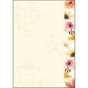 SIGEL Motivpapier Flowerstyle Motiv DIN A4 90 g/qm 50 Blatt von Sigel