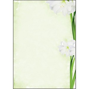 SIGEL Motivpapier Green Flower Motiv DIN A4 90 g/qm 25 Blatt von Sigel
