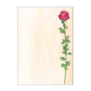 SIGEL Motivpapier Rose Bloom Motiv DIN A4 90 g/qm 25 Blatt von Sigel