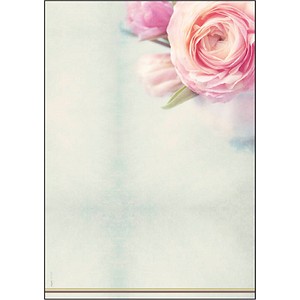 SIGEL Motivpapier Rose Garden Motiv DIN A4 90 g/qm 50 Blatt von Sigel