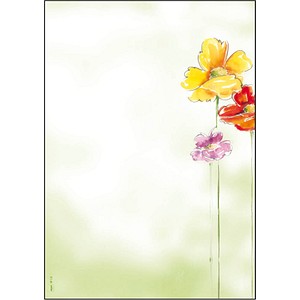 SIGEL Motivpapier Spring Flowers Motiv DIN A4 90 g/qm 50 Blatt von Sigel