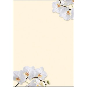 SIGEL Motivpapier White Orchid Motiv DIN A4 90 g/qm 50 Blatt von Sigel