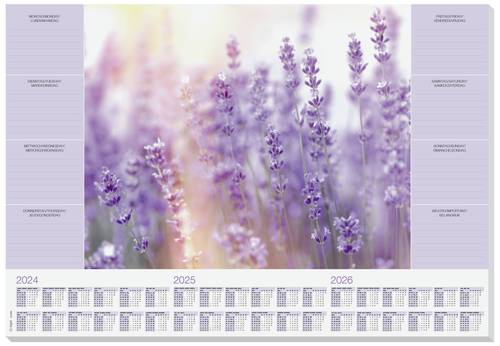 Sigel HO308 Schreibunterlage Fragrant Lavender 3-Jahreskalender Lila (B x H) 59.5cm x 41cm von Sigel