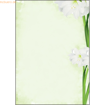 Sigel Motiv-Papier A4 90g Green Flower VE=25 Blatt von Sigel