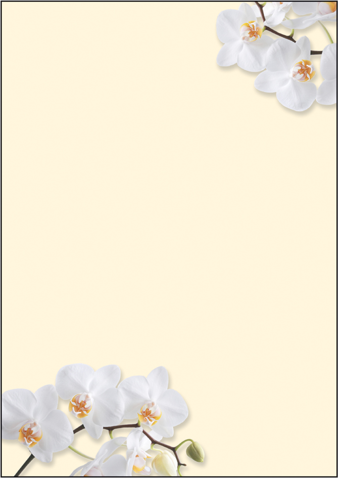 sigel Design-Papier, DIN A4, 90 g/qm, Motiv , White Orchid, von Sigel