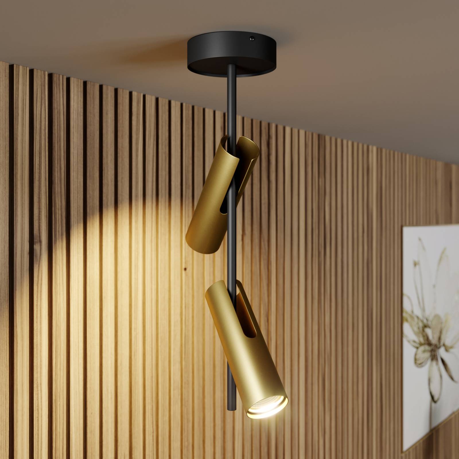 Deckenspot Leda 2, zweiflammig, schwarz-gold Deckenspot Leda 2, zweiflammig, schwarz-gold von Sigma