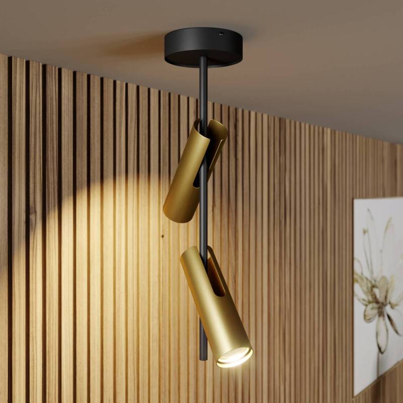 Deckenspot Leda 2, zweiflammig, schwarz-gold von Sigma