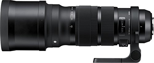 Sigma 120-300mm F2,8 Objektiv DG OS HSM Sports Objektiv (105mm Filtergewinde) für Canon Objektivbajonett von Sigma