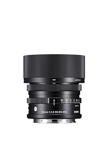 Sigma 14-24 mm F2.8 DG DN Art Objektiv für Leica L von Sigma