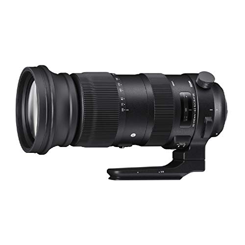 Sigma 60-600mm F4,5-6,3 DG OS HSM Sports Objektiv (105mm Filtergewinde) für Canon Objektivbajonett von Sigma