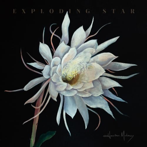 Exploding Star Exploding Star von Signature Sounds