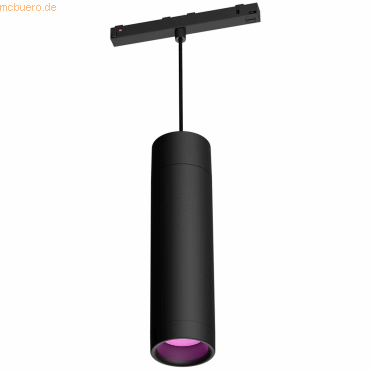 Signify Philips Hue Perifo Pendel Erweiterung Schwarz Signify Philips Hue Perifo Pendel Erweiterung Schwarz von Signify
