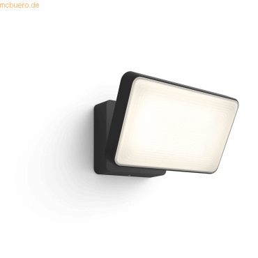 Signify Philips Hue White&Col. Amb. Discover Flutlicht schwarz 2300lm/ Signify Philips Hue White&Col. Amb. Discover Flutlicht schwarz 2300lm/ von Signify