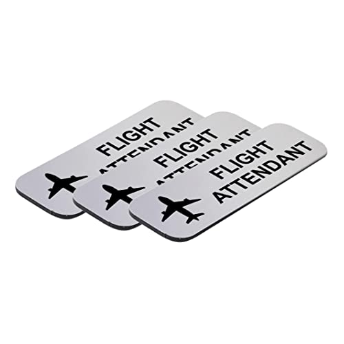 Namensschild/Anstecker, Flugbegleiter, 2,5 x 7,6 cm, silberfarben, 3 Stück Namensschild/Anstecker, Flugbegleiter, 2,5 x 7,6 cm, silberfarben, 3 Stück von Signs ByLITA