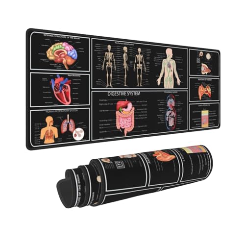 Medizinische Anatomie, menschliche Physiologie, Medizin, Arzt, Assistent, Anatomie-Modell, Physiologie, Gaming-Tastatur, Mauspad, Schreibtischunterlage, riesige erweiterte XL, genähte Kanten, Medizinische Anatomie, menschliche Physiologie, Medizin, Arzt, Assistent, Anatomie-Modell, Physiologie, Gaming-Tastatur, Mauspad, Schreibtischunterlage, riesige erweiterte XL, genähte Kanten, von Sigouyinei