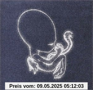 Agaetis Byrjun von Sigur Rós