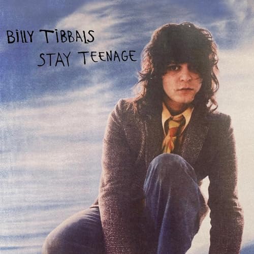 Stay Teenage [VINYL] [Vinyl LP] von Silver Arrow Records